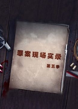 罪案现场实录 第五季