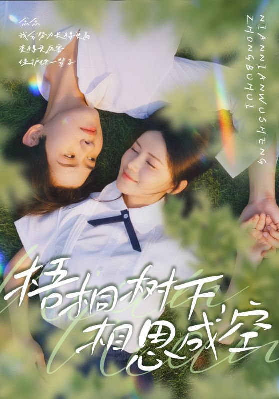 梧桐树下，相思成空