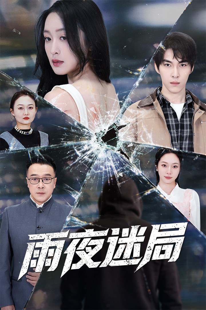 雨夜迷局 (沉默的真相之雨夜原罪)