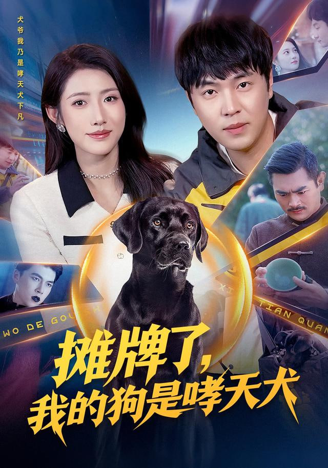别惹我的狗